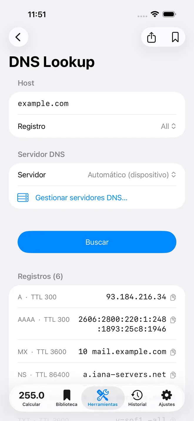 Consulta DNS de Subnet Plus