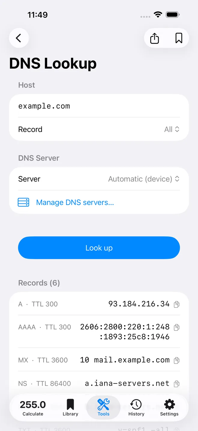 Subnet Plus DNS lookup
